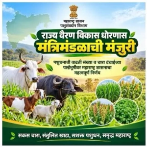 WhatsApp Image 2026-10-07 at 12.40.01 PM